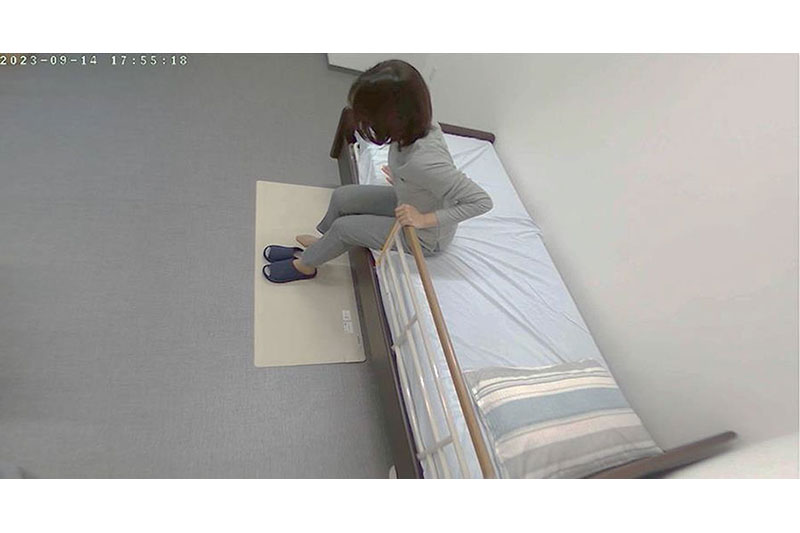 昼間のカメラ映像